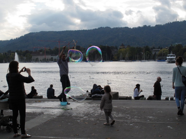 Zürichsee