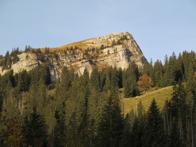 Strick von Schl&uuml;echtli aus