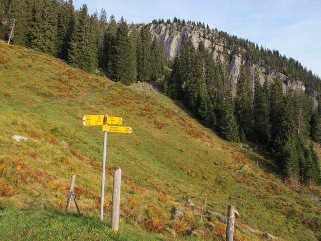 von Gummen Richtung Norden