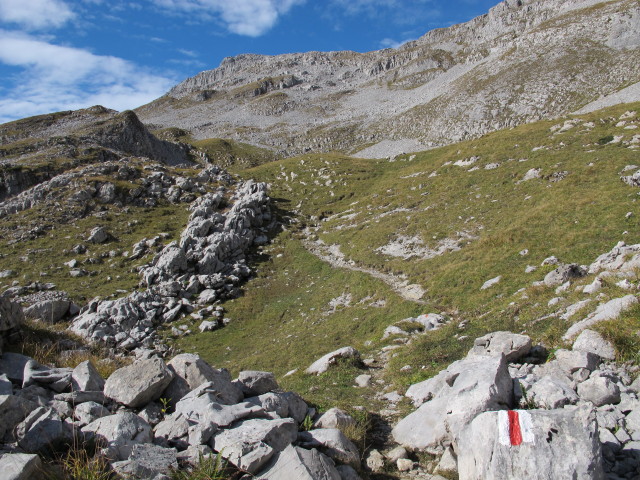 zwischen Turm und Hengst