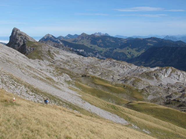 zwischen Hengst und T&uuml;rsteh&auml;uptli