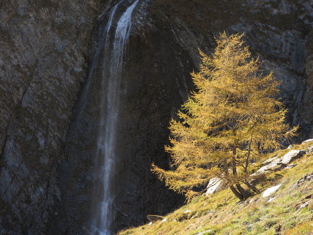 Schleierfall (19. Okt.)