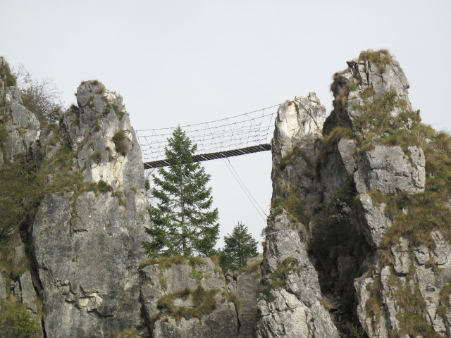 Via Ferrata Sass Brusai: Br&uuml;cke