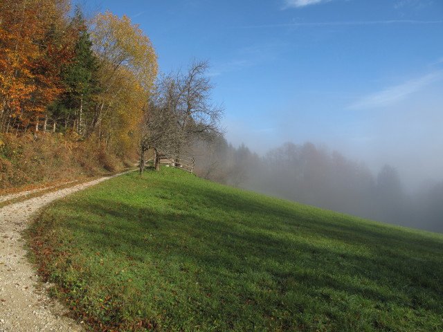 zwischen Kleinreifling und Dürreck