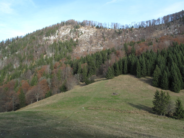 Gaisbergwiesen