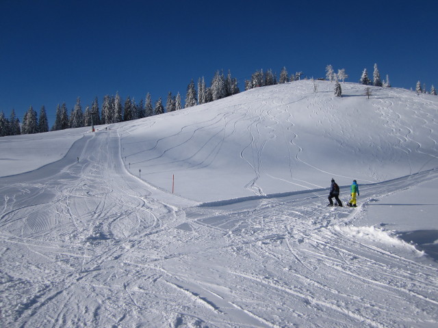 Wetterinalm