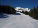 Piste Waldalm - Kreuzboden