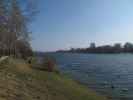 Obere Alte Donau