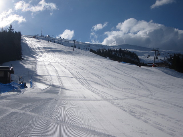 B&auml;rnbissabfahrt