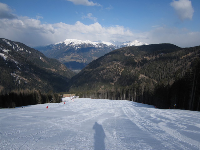 B&auml;rnbissabfahrt