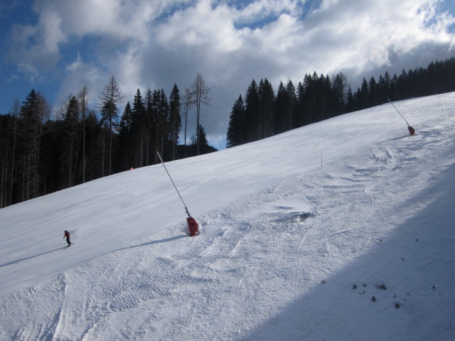 B&auml;rnbissabfahrt