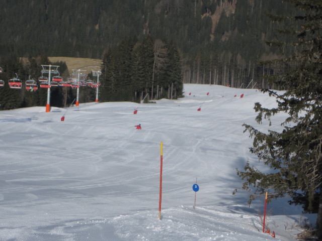 B&auml;rnbissabfahrt