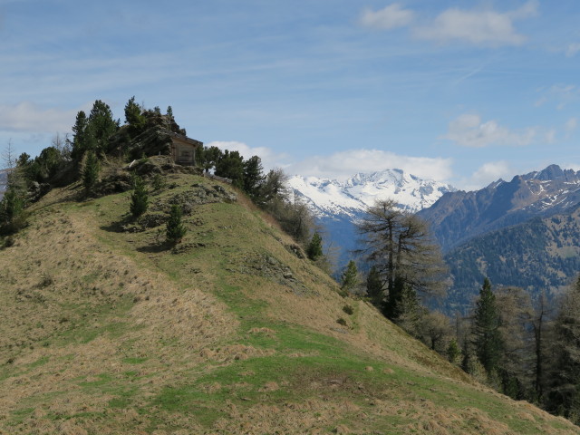 Schafhütte