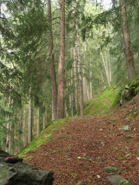 Weg 2 zwischen Schalders und Planatsch