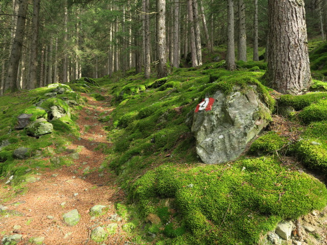 Weg 2 zwischen Schalders und Planatsch