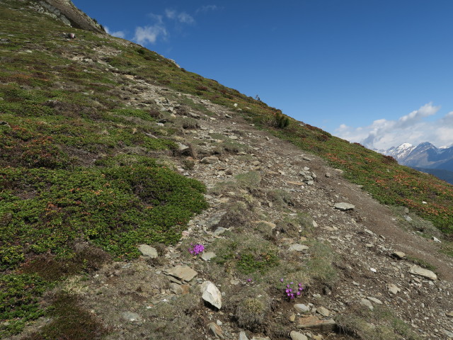 Weg 2 zwischen Kaserhüttl und Karspitze