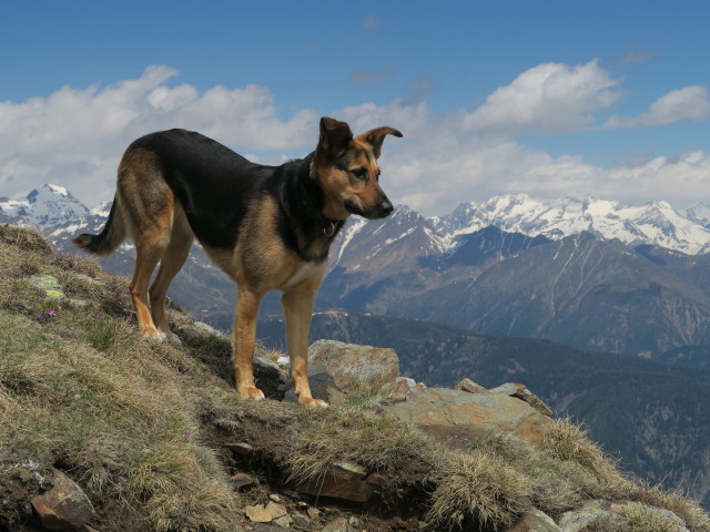 Weg 2 zwischen Karspitze und Rothleite