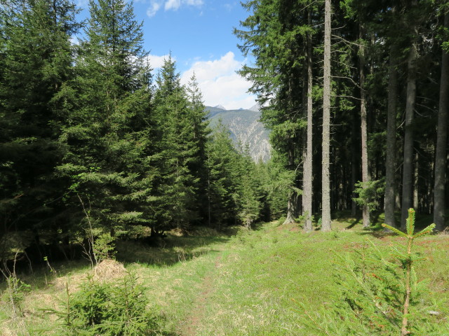Weg 3 im Rioltal