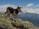 Weg 2 zwischen Karspitze und Rothleite