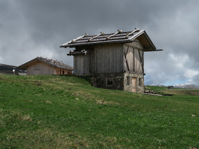 Freiner Wiesen (16. Mai)