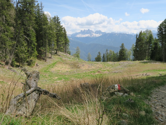 Rossboden (17. Mai)