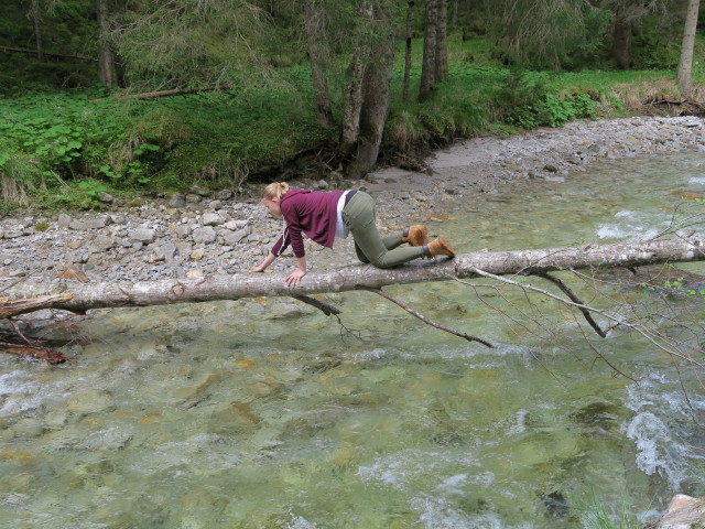 Kötschachbach (30. Mai)