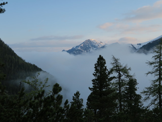 Gamskarkogel (31. Mai)