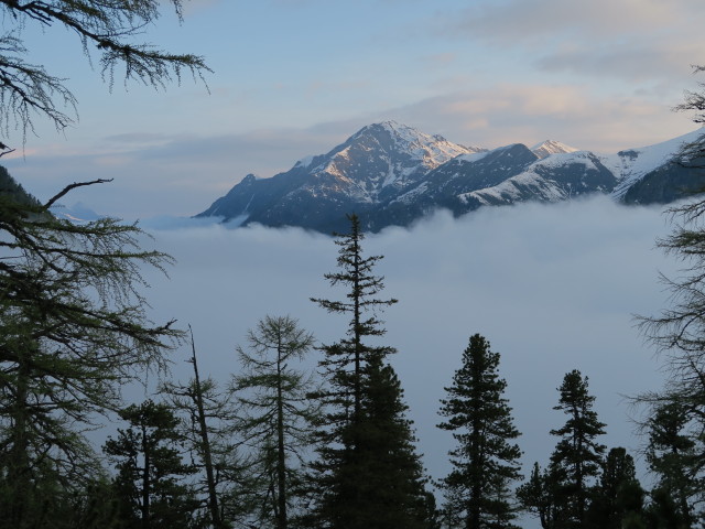 Gamskarkogel (31. Mai)