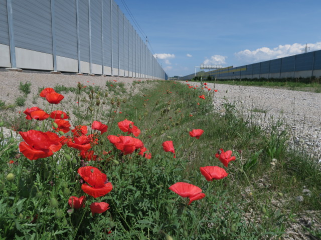 zwischen Knoten Wagram und Pummersdorfer Tunnel