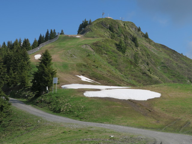 zwischen Fulseck und Kreuzkogel (4. Juni)