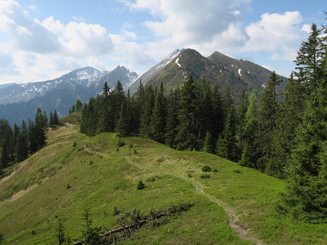 zwischen Kreuzkogel und Krämerkogel (4. Juni)