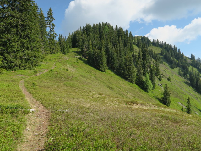 zwischen Kreuzkogel und Krämerkogel (4. Juni)