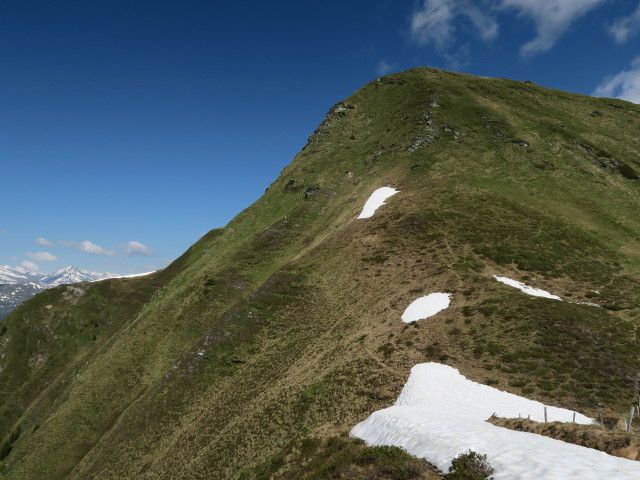 zwischen Flugkopf und Schönweidkogel (5. Juni)