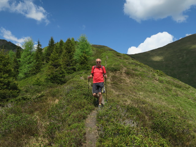 Wolfgang zwischen Kreuzkogel und Froneck (5. Juni)