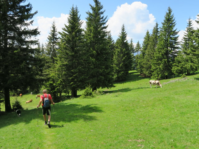 Wolfgang auf der Eggeralm (5. Juni)