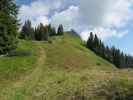 zwischen Kreuzkogel und Krämerkogel (4. Juni)