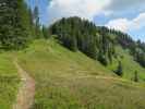 zwischen Kreuzkogel und Krämerkogel (4. Juni)