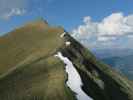 zwischen Frauenkogel und Gamskarkogel (4. Juni)