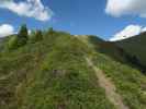 zwischen Kreuzkogel und Froneck (5. Juni)