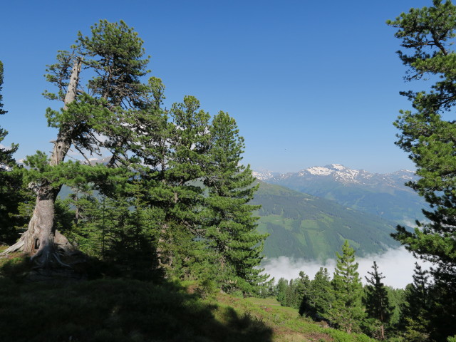 zwischen Graukogelhütte und Hüttenkogel (7. Juni)