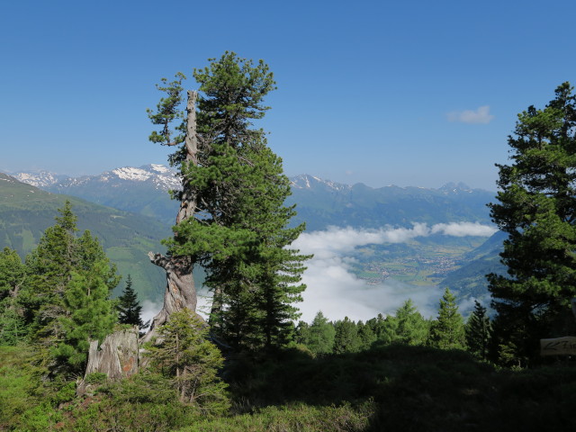 zwischen Graukogelhütte und Hüttenkogel (7. Juni)