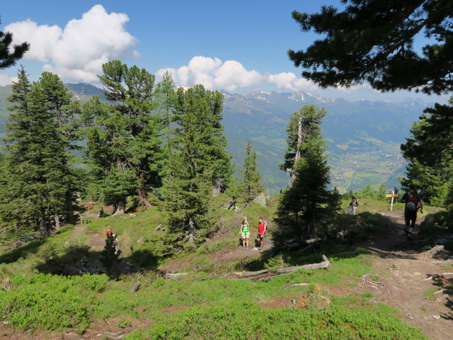 Zirbenweg (7. Juni)