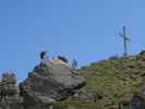 Hirschkarspitze-Klettersteig: Stephanie im Ausstieg (6. Juni)