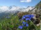 vom Hüttenkogel Richtung Südosten (7. Juni)