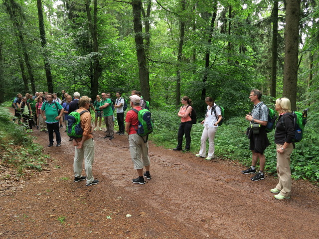 Saarschleife-Tafeltour zwischen Mettlach und Burg Monclair (13. Juni)