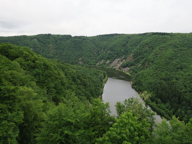 Saar von der Burg Montclair aus (13. Juni)