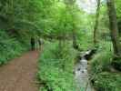 Saarschleife-Tafeltour im Steinbachtal (13. Juni)