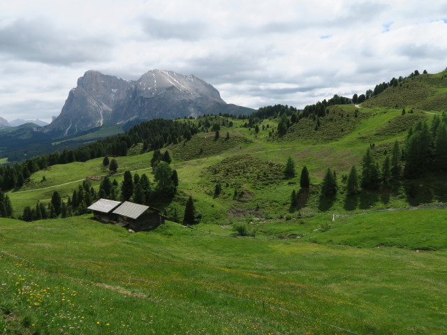 Mahlknecht (21. Juni)