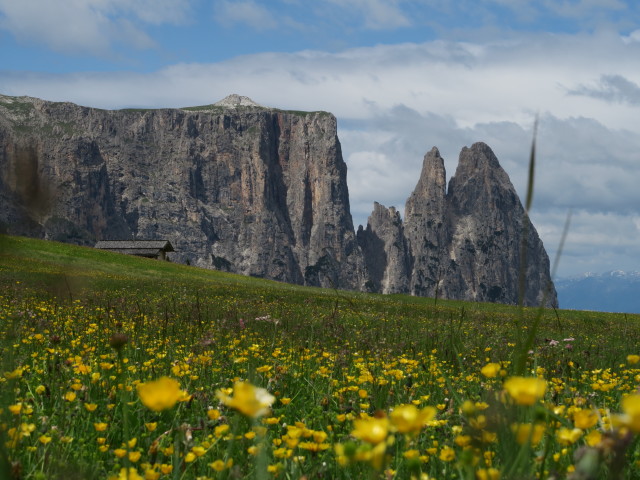 Schlern von der Seiser Alm aus (21. Juni)