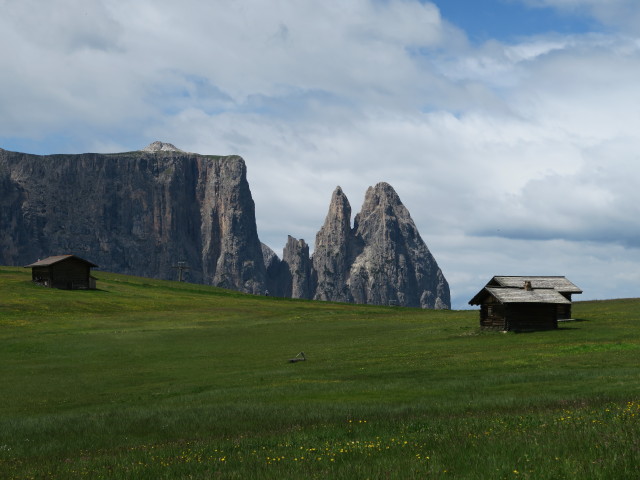 Schlern vom Ladinser Moos aus (21. Juni)